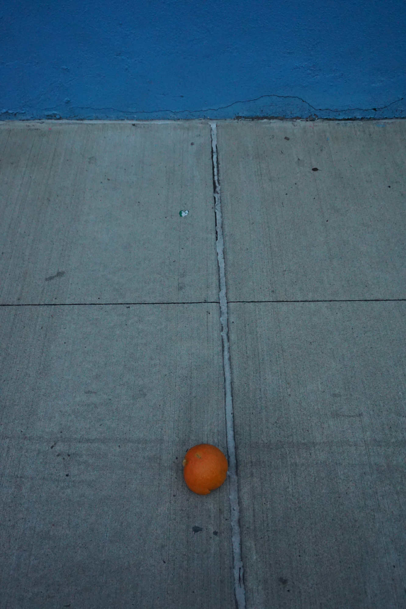 orange on blue photograph by sandra fedowitz